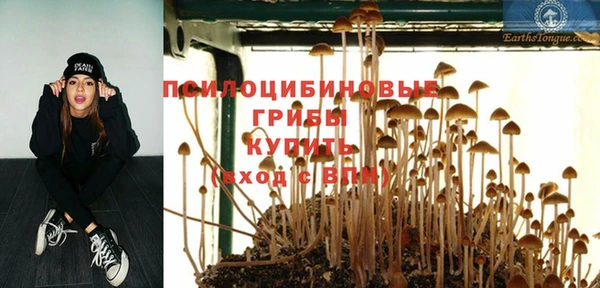 a pvp Горно-Алтайск