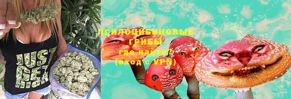 COCAINE Гусиноозёрск