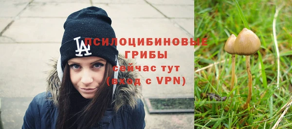 spice Горнозаводск