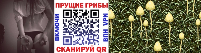 Купить где  Духовщина  Псилоцибиновые грибы ЛСД 